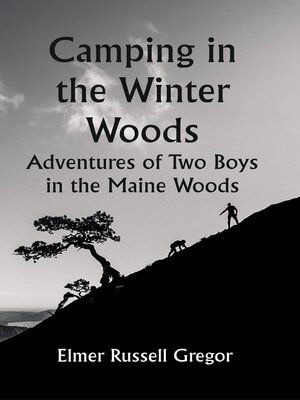 cover image of Camping In the Winter Woods